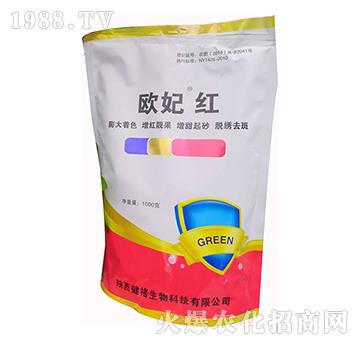 �W�����t-��������