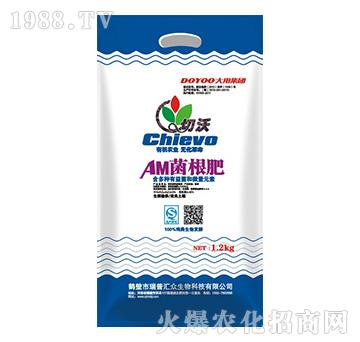 AM������-����-�h˼����