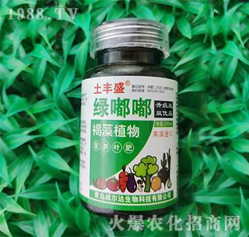 �G��-���Sʢ-�����_(d��)