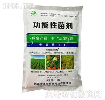 ���A(ch��)�I(y��ng)�B(y��ng)�͹������-�֌�����