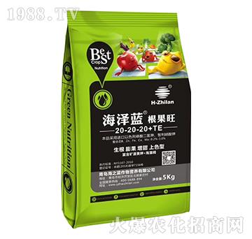 ������20-20-20+TE-�����{(l��n)-��֮�{(l��n)