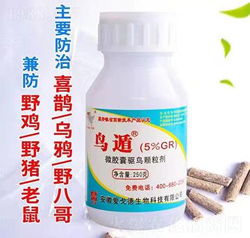 5%�B��-�۸������