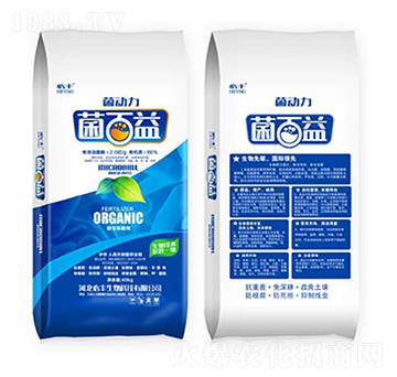 �������-������-���S����