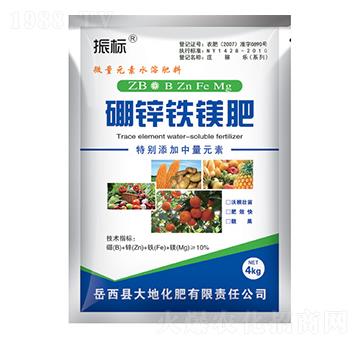 ���\�F�V��-��ػ���