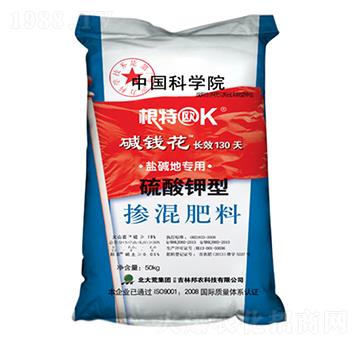 ������͓������-���r�Ƽ�