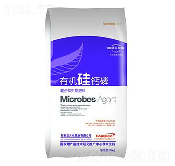 �ЙC���}���������-�󱊷ʘI(y��)