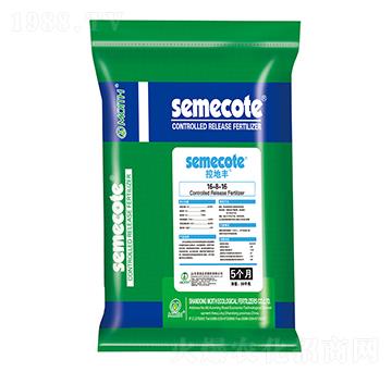 ��ጓ������16-8-