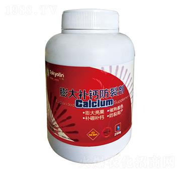 ����a�}���ф�-�����r�I(y��)