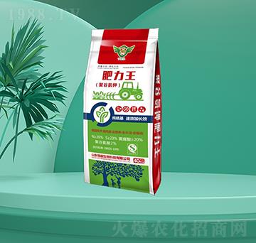 �۹Ȱ��-������-�㶦����