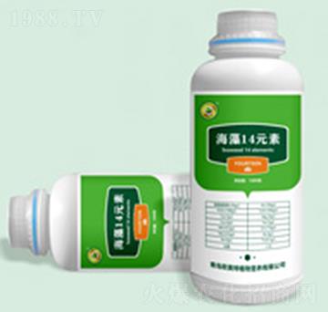 ����ʮ��Ԫ��-�W����