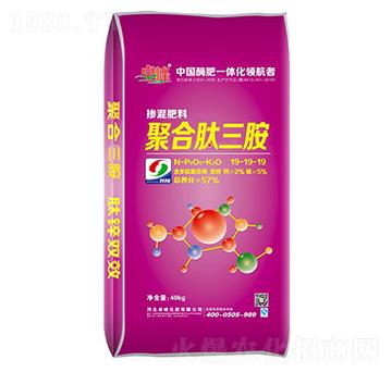 �ۺ��ļ�����������1