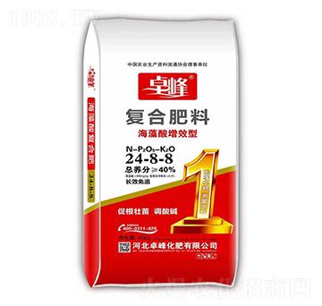 ��������Ч�͏ͺϷ���24-8-8-׿��