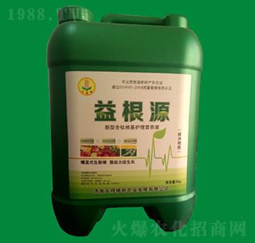 ���Դ-�����