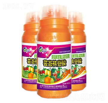 �|̦������-ʩ����-ԣ��߿�