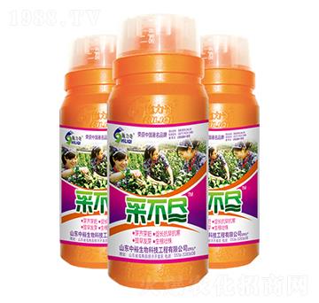 �ɲ��M-ʩ����-ԣ��߿�