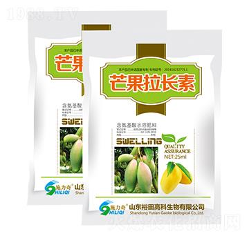 â�����L��-ʩ����-ԣ��߿�