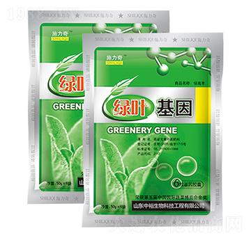 �G�~����-ʩ����-ԣ��߿�