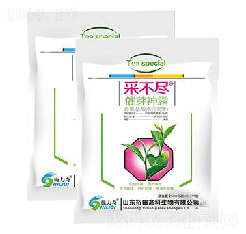 �ɲ��M��ѿ��¶-ʩ����-ԣ��߿�