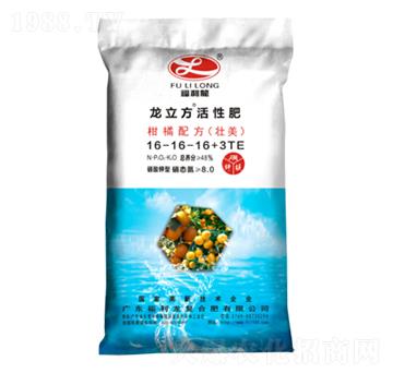 �����䷽��16-16-