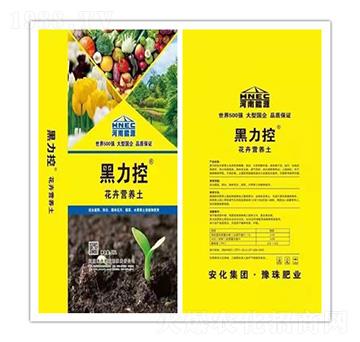 ���ܠI(y��ng)�B(y��ng)��-������-ԥ��ʘI(y��)