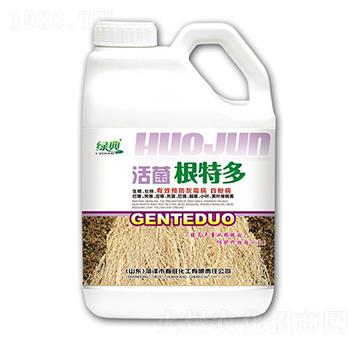 ������ض�-�G��-����