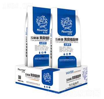 �������S��ֳ���-���_