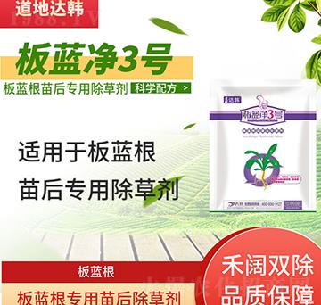 ���{�����݄�-���{����