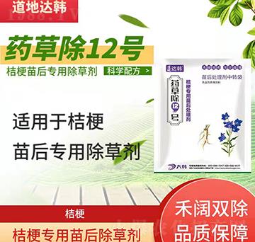 �۹����݄�-�۹����-