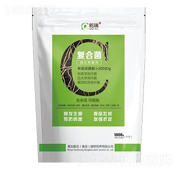 ��(f��)�Ͼ�΢�������-���Ӻ��f