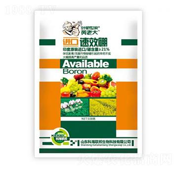 �M(j��n)����-�S�ϴ�-�ƺ�(li��n)