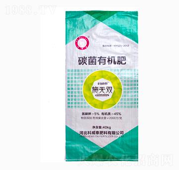 ʩ�o�p̼���ЙC��-����̩