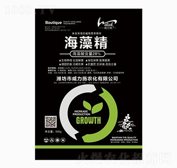 ���徫-����ʩ