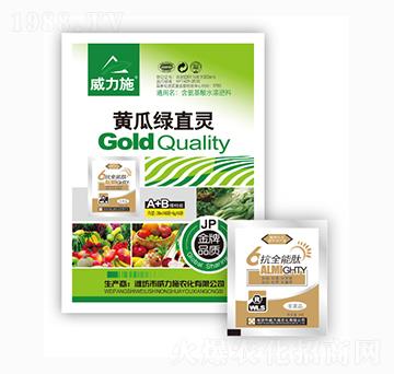 �S�ϾGֱ�`-����ʩ