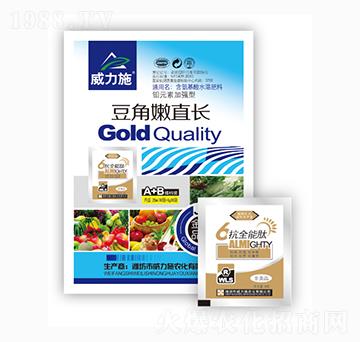 ������ֱ�L-����ʩ