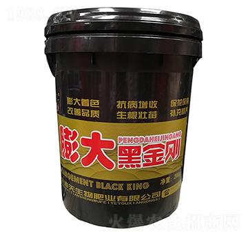 ���ڽ���-��������