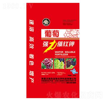 ���я����߼t�-�Č���