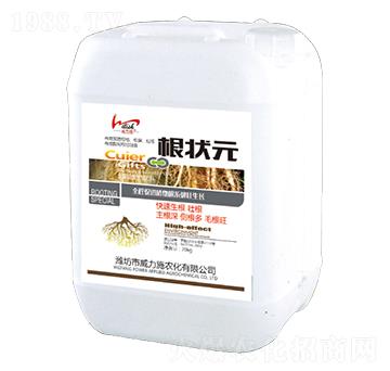 ����Ԫ-����ʩ