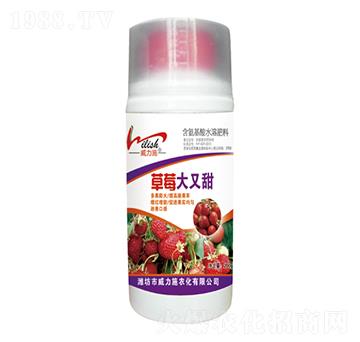 ��ݮ������-����ʩ