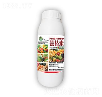 1000ml�|̦��-��