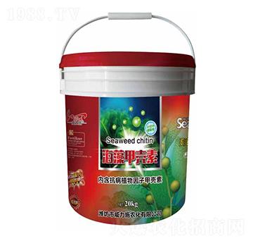 ����ך���-����ʩ