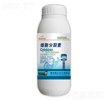 ��(x��)��������-̩�_(d��)�r(n��ng)��