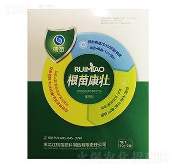 ���翵��-����