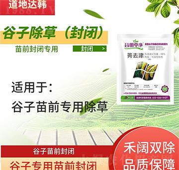 ���ӳ��݄�-������ǰ-���ӌ���-����݃�-���n