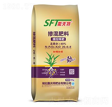 ����ጓ������26-6-8-������