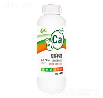 ���{�}�V-���_�rɭ