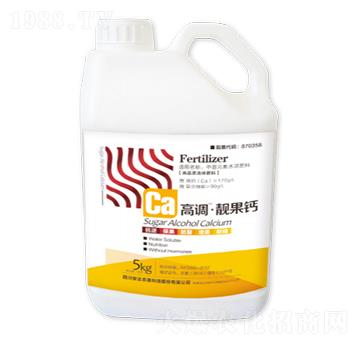 ���{�n���}-���_�rɭ