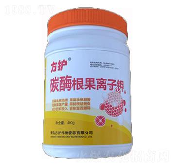 ̼ø�����x���-���o