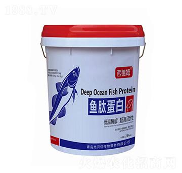 ����ķ���~(y��)�ĵ���-��ؐ��