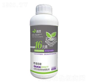 16Ԫ��-ؐ������