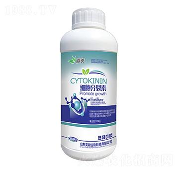 ��(x��)��������-ؐ������